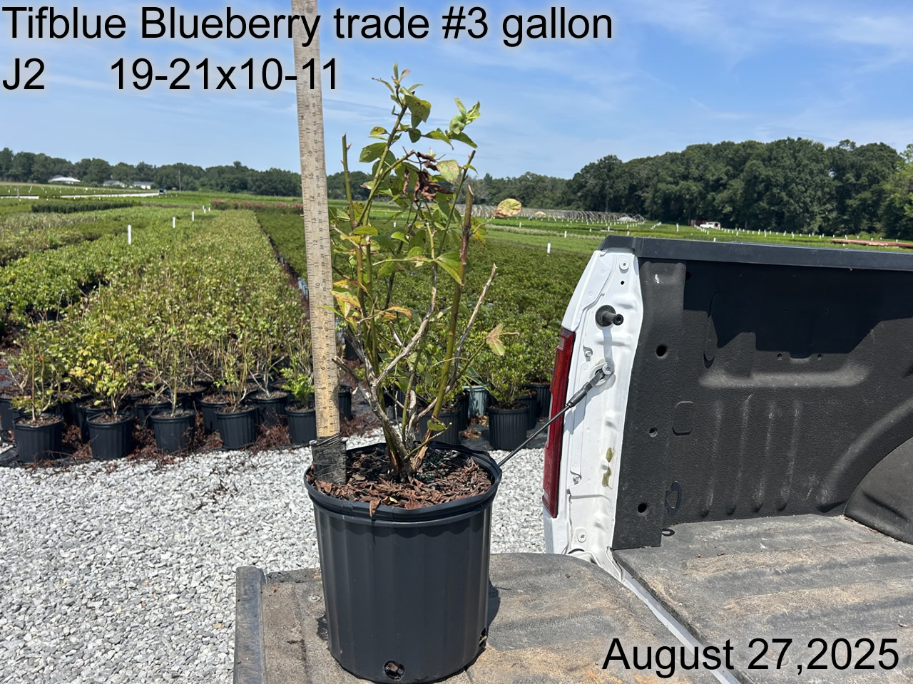 gallery/btb3t j2 aug25.jpg